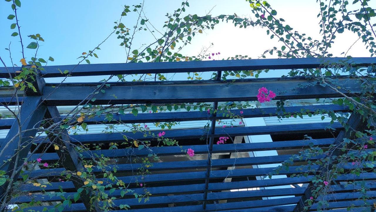 Nasau Resort & Villas Νάντι Εξωτερικό φωτογραφία